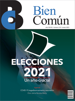 Artculos Elecciones 2021